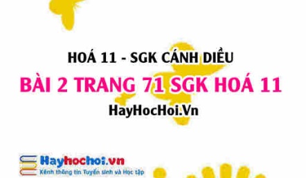 Bài 2 trang 71 SGK Hoá 11 Cánh diều